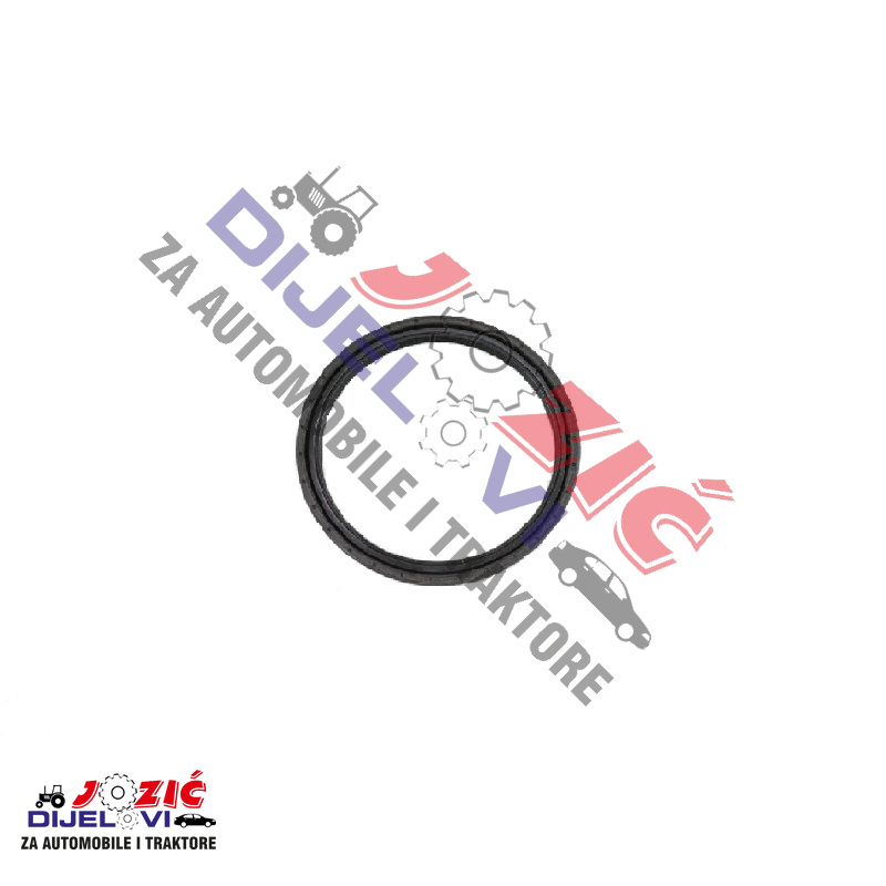 Daisy on the Ohoopee